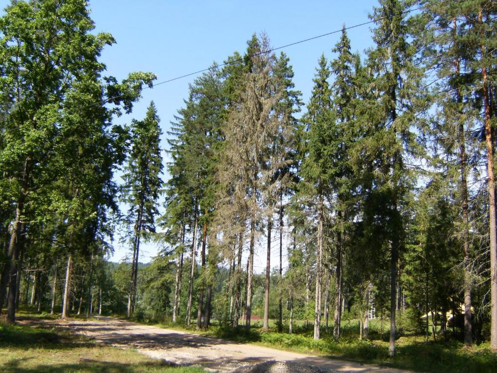 Kempings Ozolkalns Cesis Exterior photo